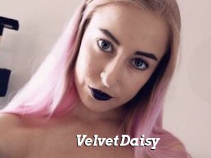 VelvetDaisy