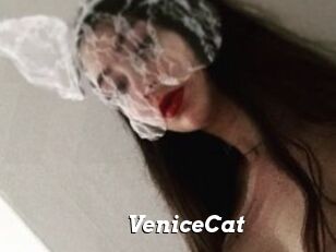 VeniceCat