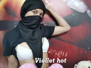 Viollet_hot