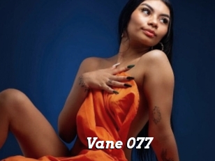 Vane_077