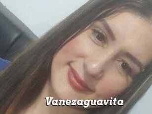 Vanezaguavita
