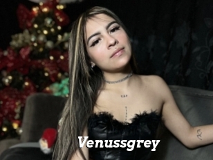 Venussgrey