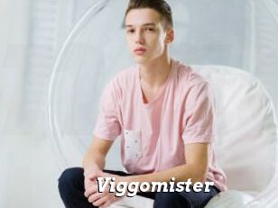 Viggomister