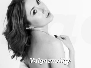 Vulgarmollye