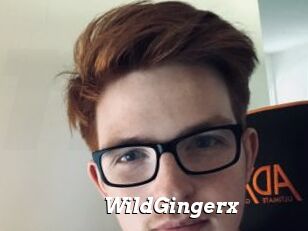 WildGingerx