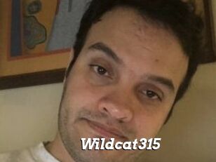Wildcat315