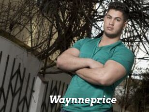 Waynneprice