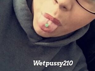 Wetpussy210
