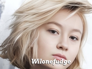 Wilonefudge