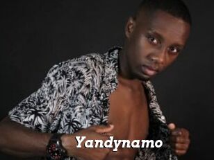 Yandynamo