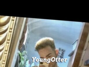 YoungOtter