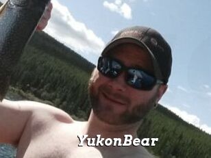 YukonBear