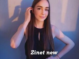 Zinet_new
