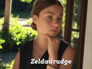 Zeldadrudge