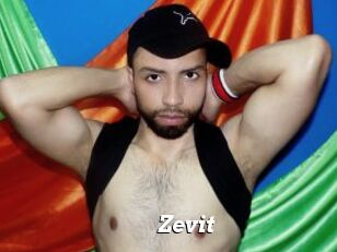 Zevit